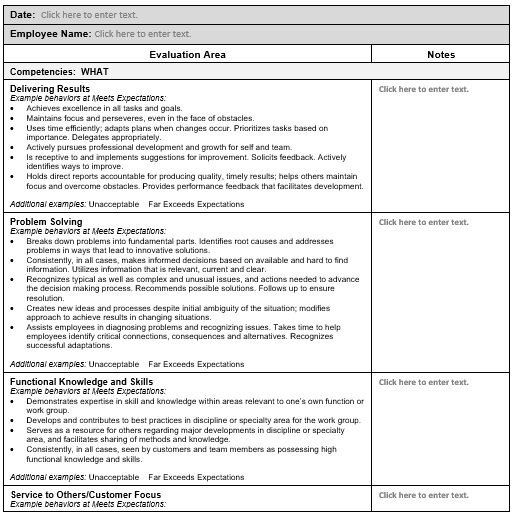 annual self evaluation manager