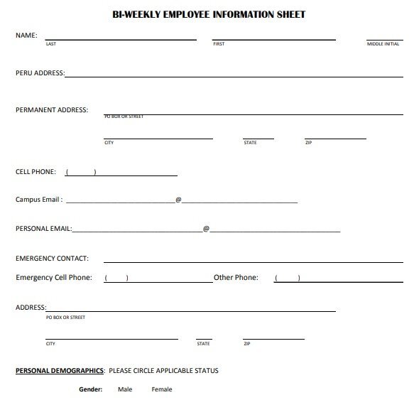 bi weekly employee information sheet template