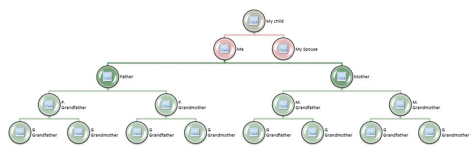free family tree template 6