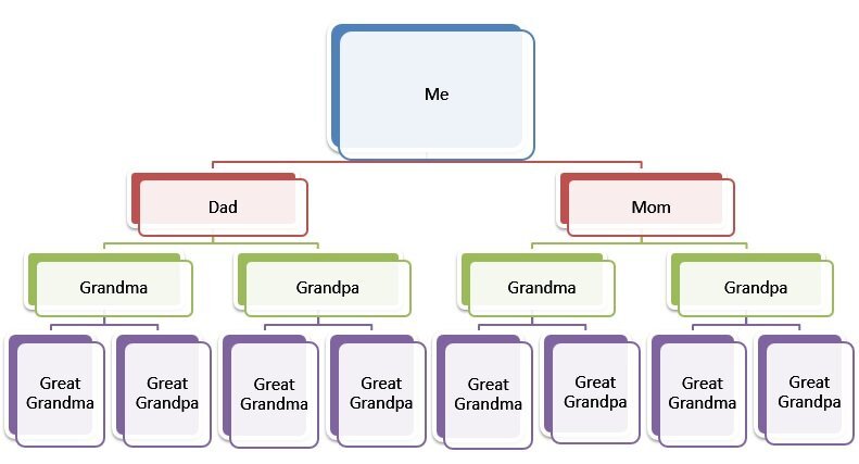 my family tree template