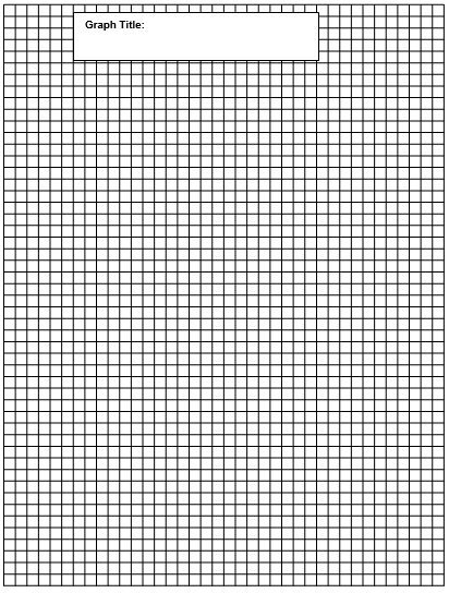 free graph paper template 11