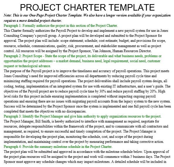 free project charter template 13