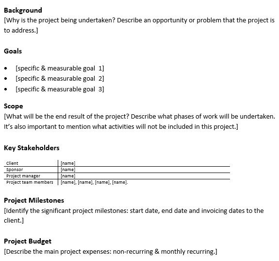 free project charter template 15