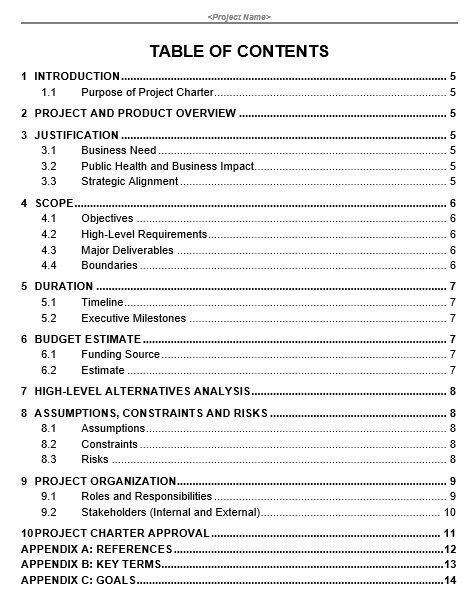 free project charter template 17