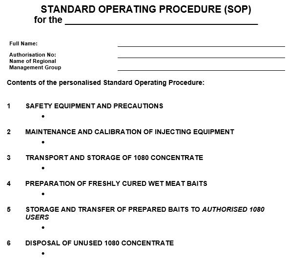 sop template word