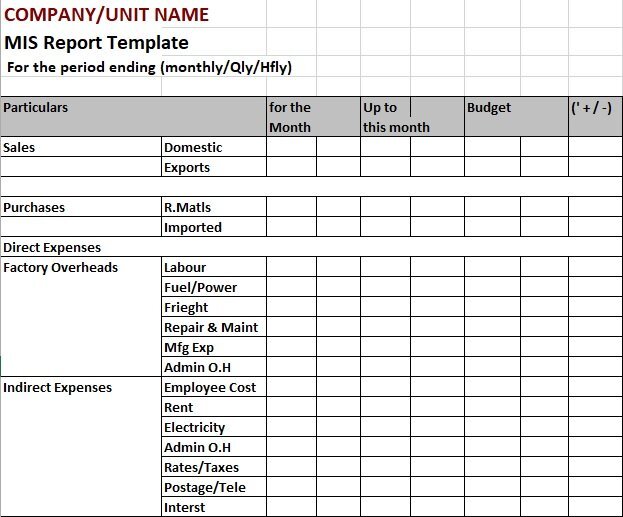 hr mis report template free download
