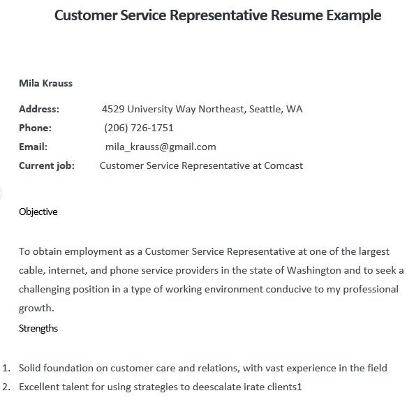 customer service representative resume example