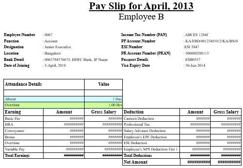 salary slip for visa application