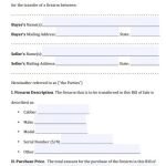 firearm gun bill of sale form florida
