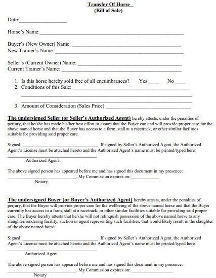 horse bill of sale for transfer form