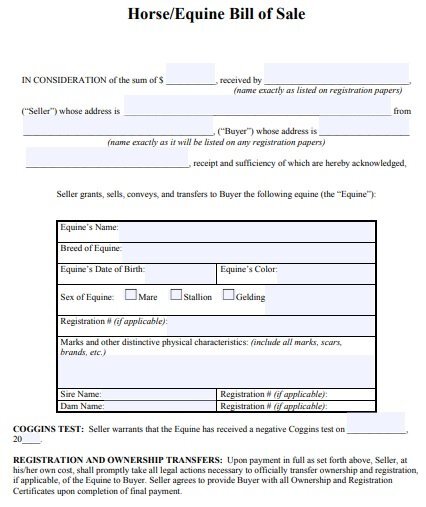 horse equine bill of sale form