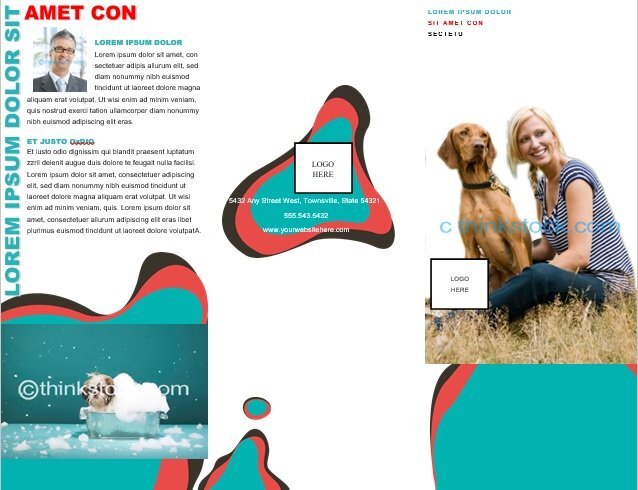 free brochure template 1