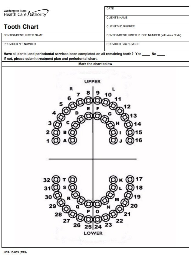 printable teeth chart template