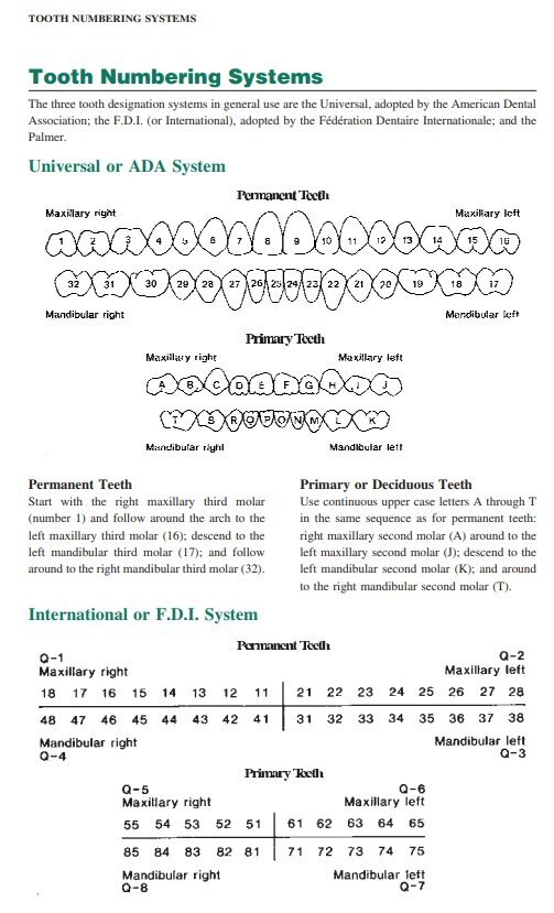 tooth numbering systems