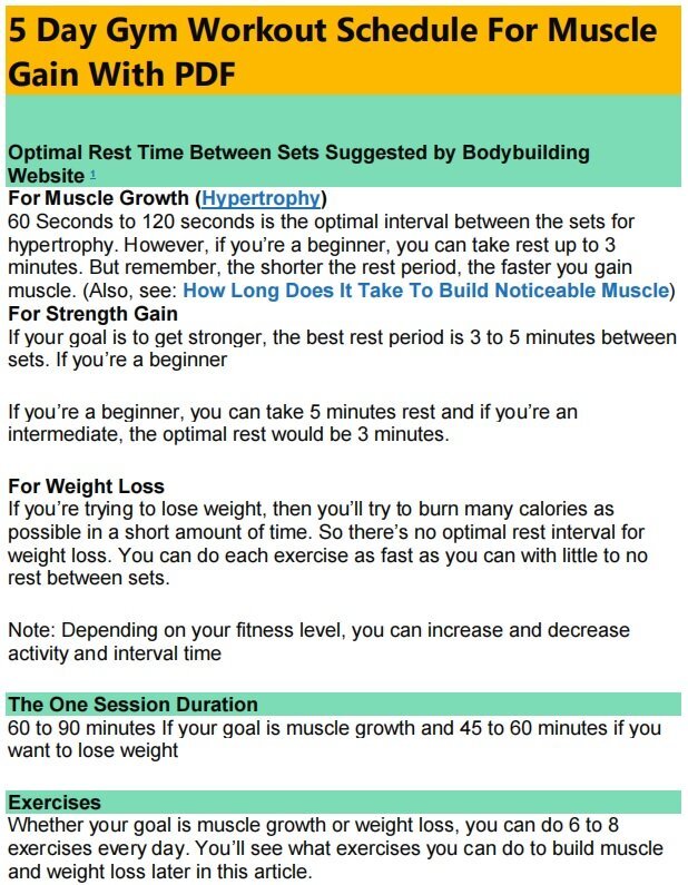 5 day gym workout schedule for muscle gain