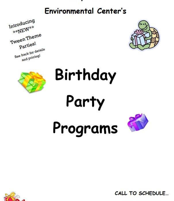 birthday party event program template
